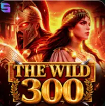 The Wild 300 w Twindor